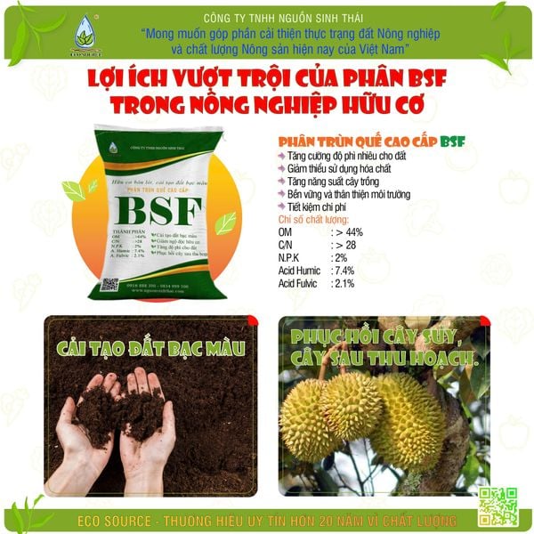 LỢI ÍCH VƯỢT TRỘI CỦA PHÂN TRÙN QUẾ BSF