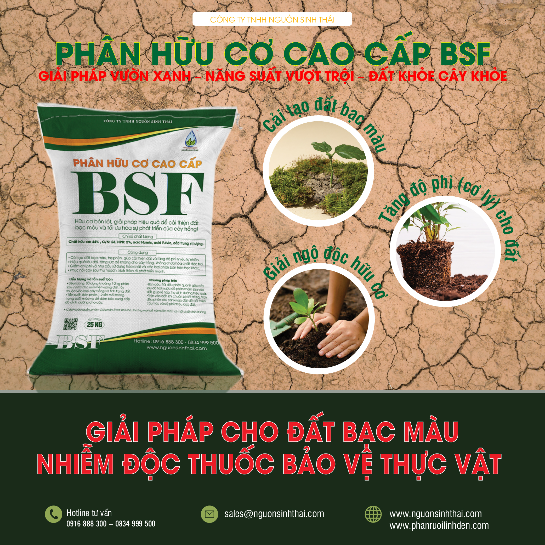 Opening Phân BSF Ads