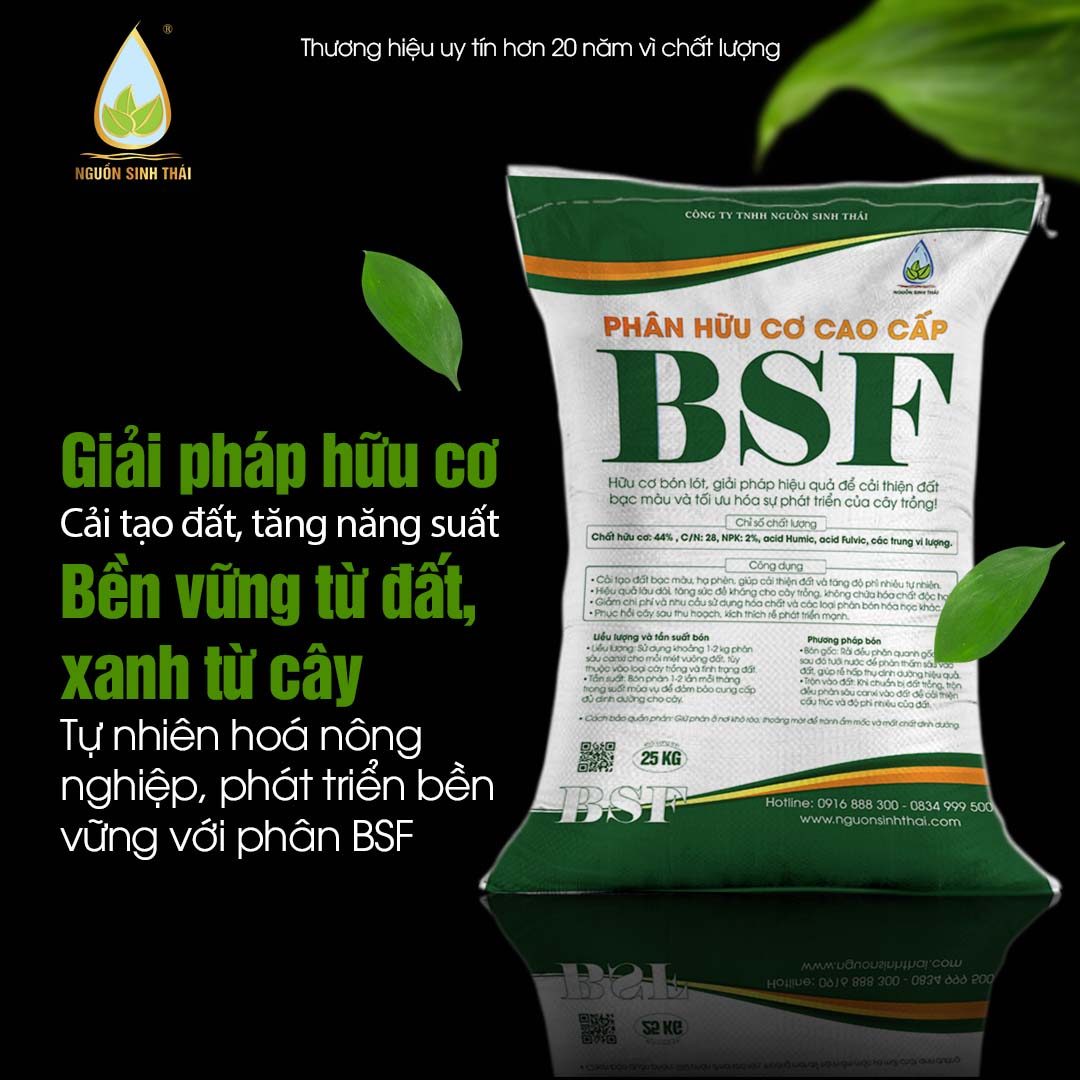 Phan huu co BSF