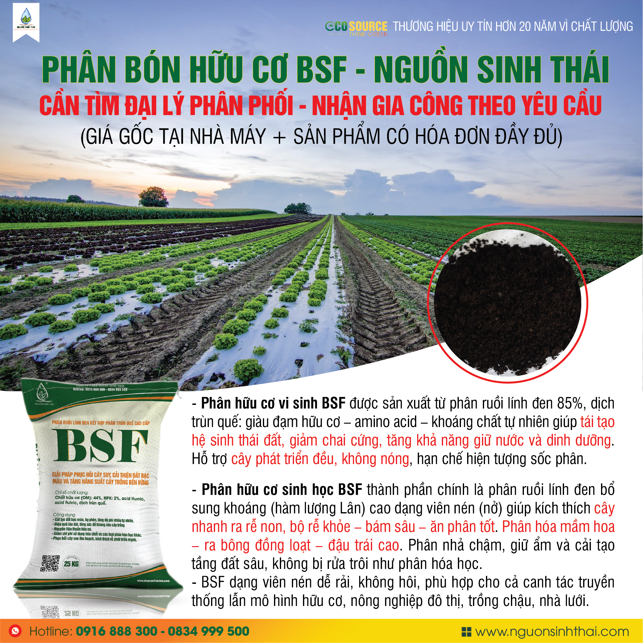 TÌM ĐẠI LÝ BSF